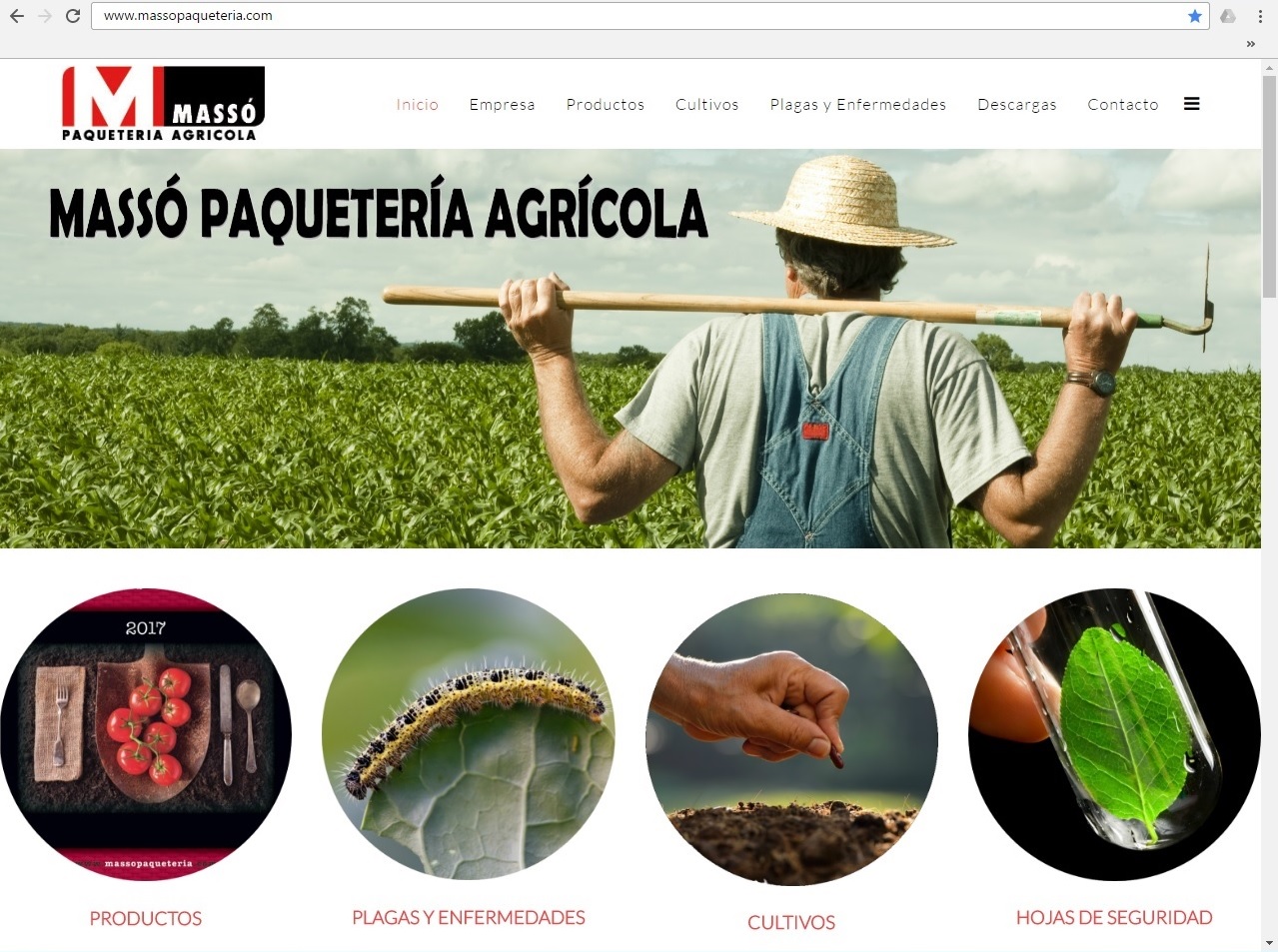 paqueteria